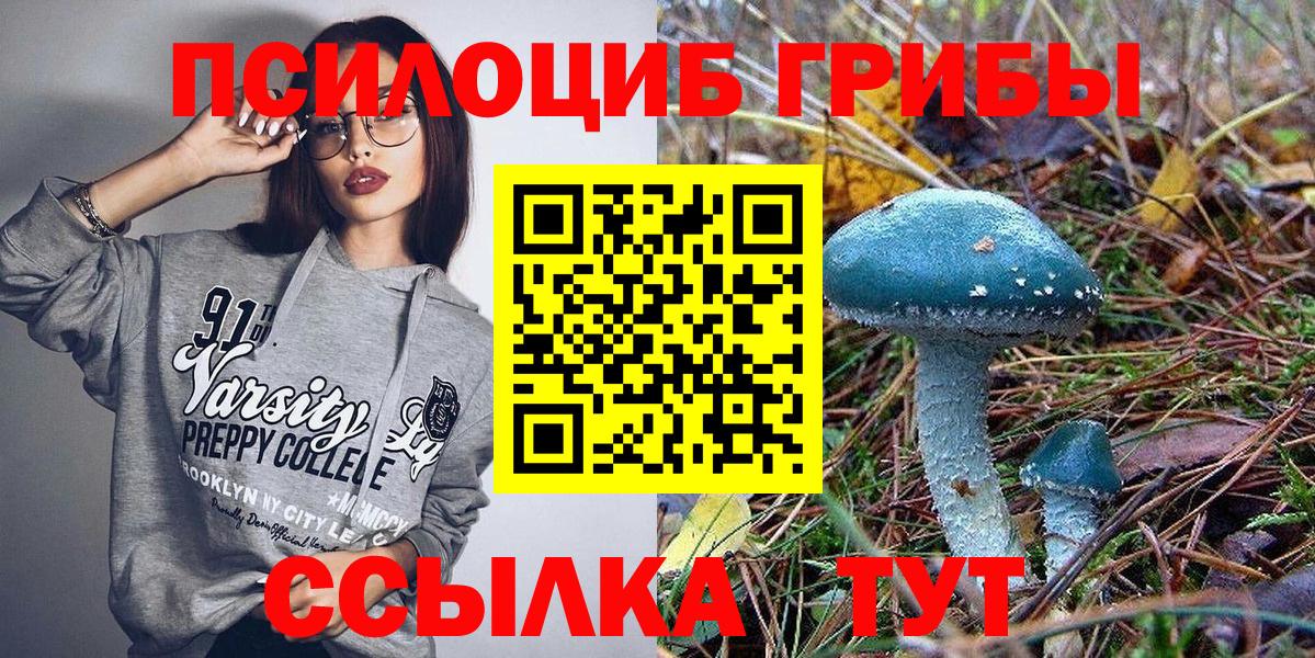 Галлюциногенные грибы Psilocybine cubensis  магазин  наркотиков  Алексин  Вход с VPN 